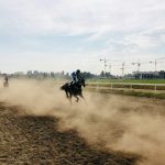 a group of people riding on the backs of horses